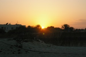 IMGP7224