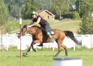 IMGP7626