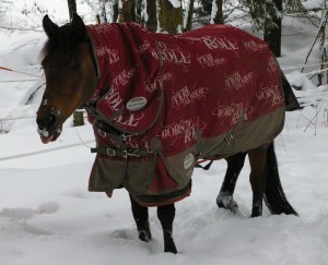 mamma jeg har snø på nesa!!
